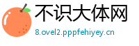 不识大体网